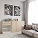 Комод з розпашними дверцятами та шухлядою (RS3) 4506 фото